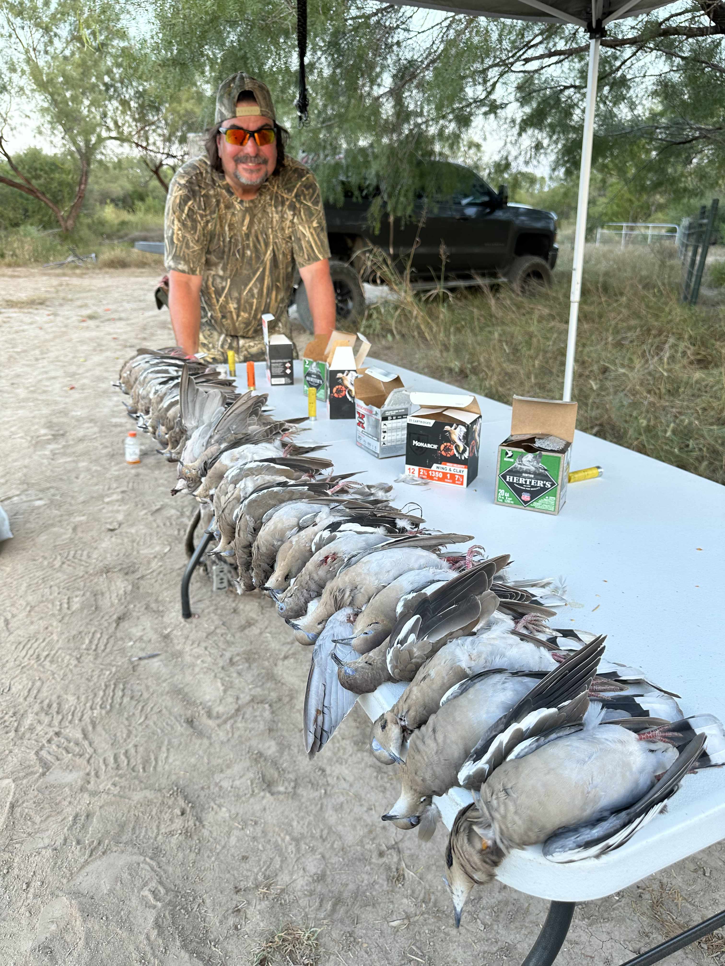 South Texas dove shoot limit