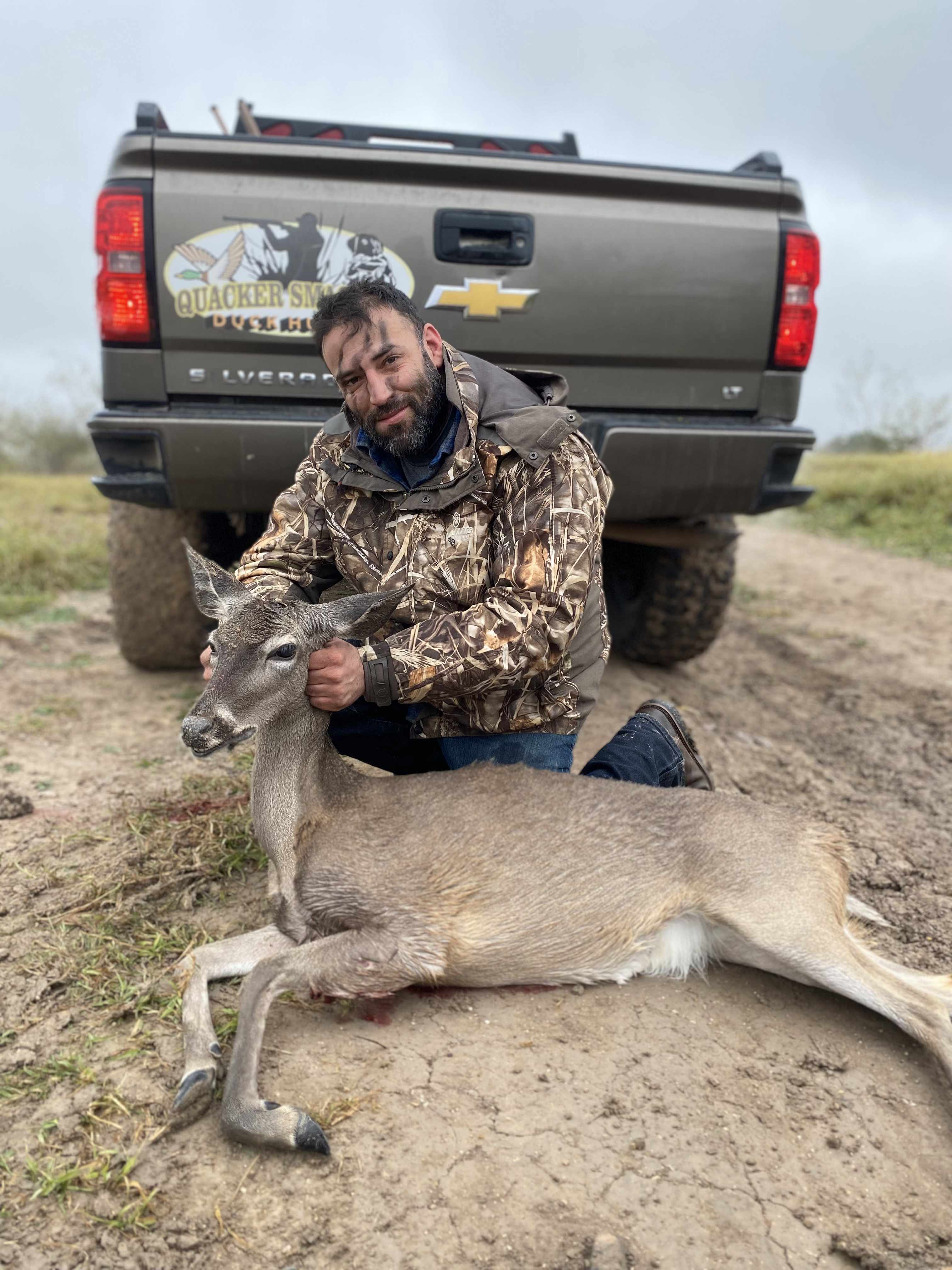Whitetail