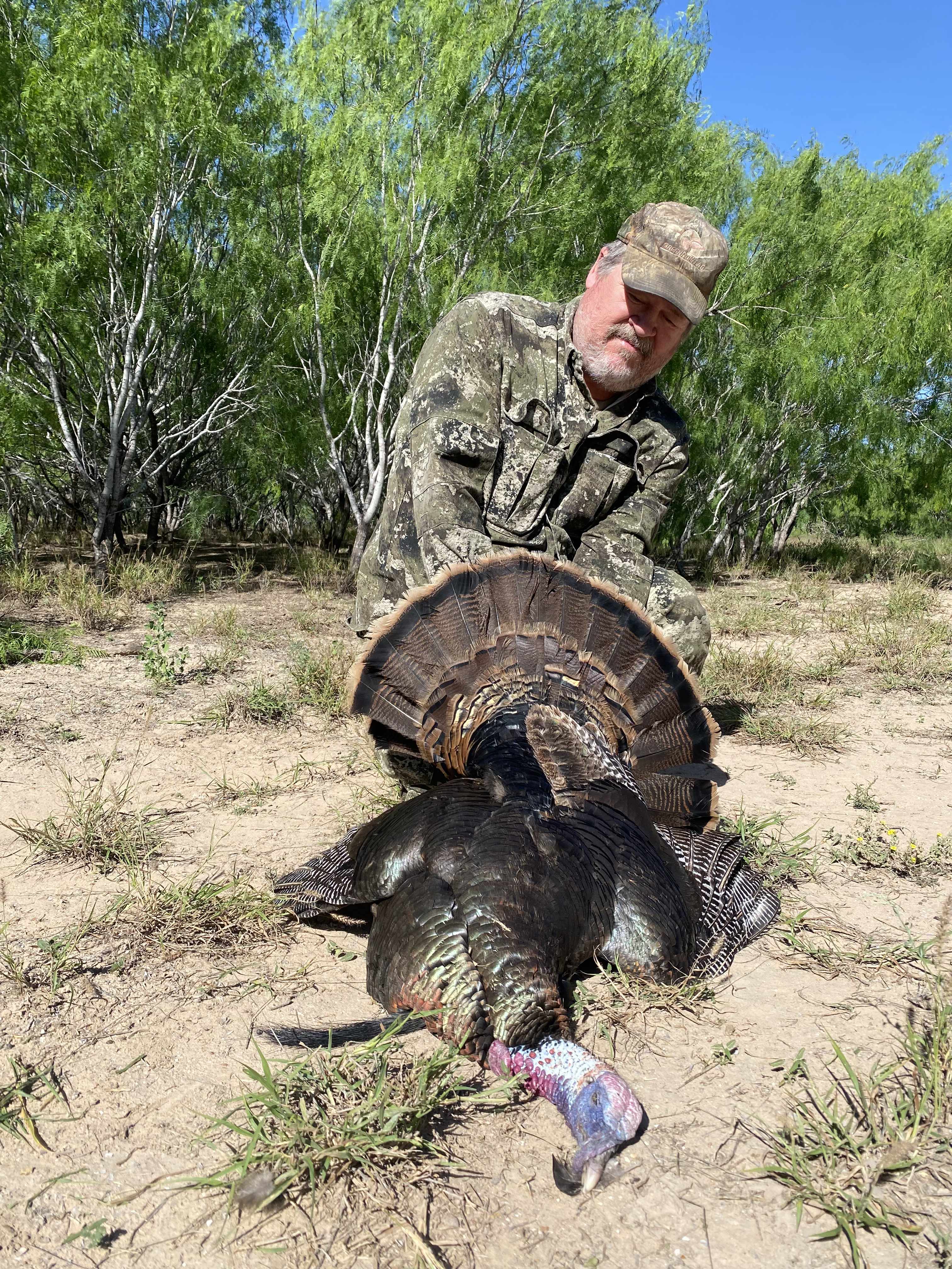 turkey hunts